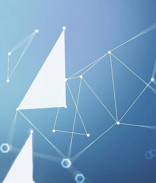 同兴达：2020年半年度报告披露